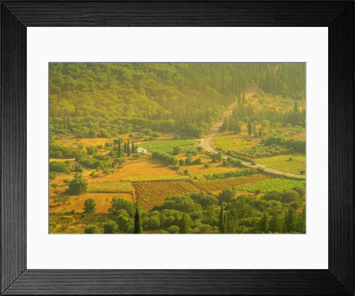 Framed Print : View of inland woodland and vineyards near Poulata, Kefalonia, Ionian Islands, Greek Islands, Greece, Europe Framed Print : View of inland woodland and vineyards near Poulata, Kefalonia, Ionian Islands, Greek Islands, Greece, Europe