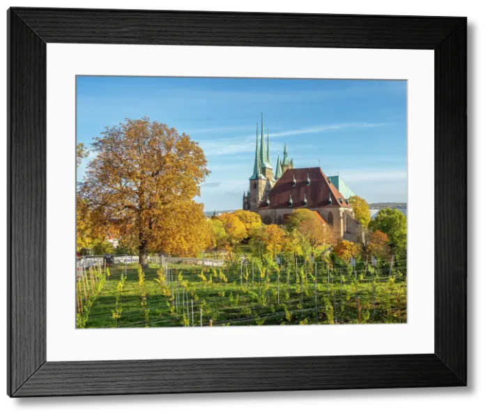 Framed Print : View of St. Severus Church at Erfurt, the capital and largest city of the Central German state of Thuringia, Germany, Europe Framed Print : View of St. Severus Church at Erfurt, the capital and largest city of the Central German state of Thuringia, Germany, Europe