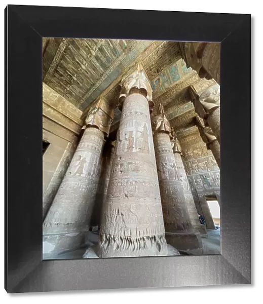 Columns inside the Hypostyle Hall, Temple of Hathor, Dendera Temple complex, Dendera, Egypt, North Africa, Africa