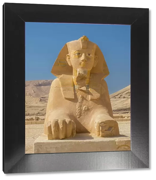 Sphinx at the base of the mortuary temple of Hatshepsut in Deir al-Bahri, built during the reign of Pharaoh Hatshepsut, UNESCO World Heritage Site, Thebes, Egypt, North Africa, Africa