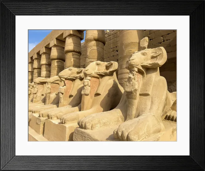 Framed Print : Ram-headed sphinx statues at Karnak, Karnak Temple Complex, UNESCO World Heritage Site, near Luxor, Thebes, Egypt, North Africa, Africa Framed Print : Ram-headed sphinx statues at Karnak, Karnak Temple Complex, UNESCO World Heritage Site, near Luxor, Thebes, Egypt, North Africa, Africa