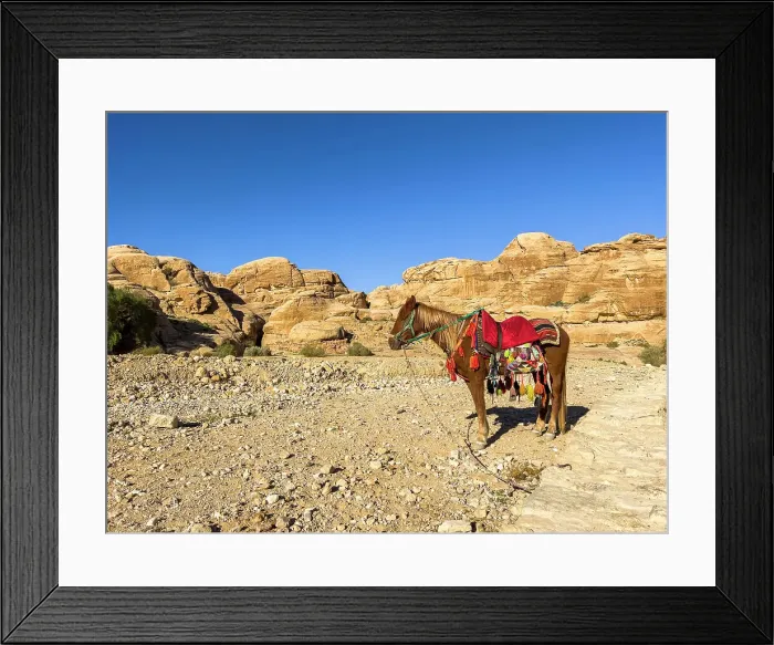 Framed Print : Jordanian horse, Petra Archaeological Park, UNESCO World Heritage Site, one of the New Seven Wonders of the World, Petra, Jordan, Middle East Framed Print : Jordanian horse, Petra Archaeological Park, UNESCO World Heritage Site, one of the New Seven Wonders of the World, Petra, Jordan, Middle East