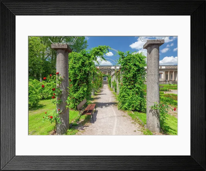 Framed Print : Rose garden at Rosenstein Palace, Rosenstein Park, Stuttgart, Baden-Wurttemberg, Germany, Europe Framed Print : Rose garden at Rosenstein Palace, Rosenstein Park, Stuttgart, Baden-Wurttemberg, Germany, Europe
