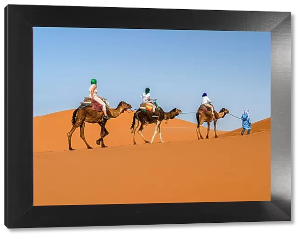Family with one child enjoying a camel ride in the desert, Erg Chebbi, Merzouga, Sahara Desert, Morocco, North Africa, Africa