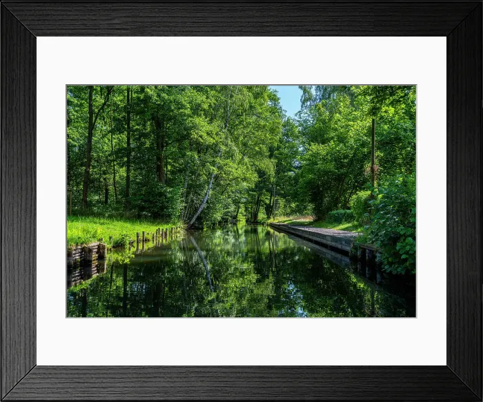 Framed Print : Water channel, UNESCO Biosphere Reserve, Spree Forest, Brandenburg, Germany, Europe Framed Print : Water channel, UNESCO Biosphere Reserve, Spree Forest, Brandenburg, Germany, Europe