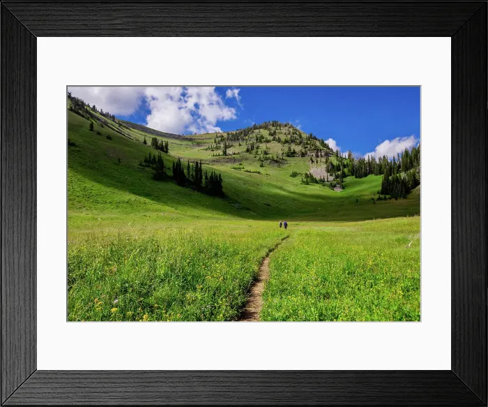 Framed Print : Grand Teton National Park trails, Wyoming, United States of America, North America Framed Print : Grand Teton National Park trails, Wyoming, United States of America, North America