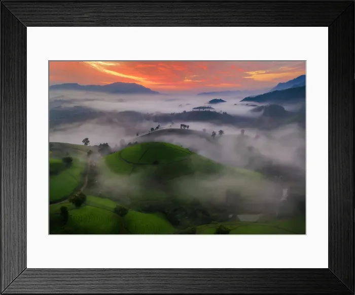 Framed Print : Long Coc Tea Hill, Vietnam, Indochina, Southeast Asia, Asia Framed Print : Long Coc Tea Hill, Vietnam, Indochina, Southeast Asia, Asia