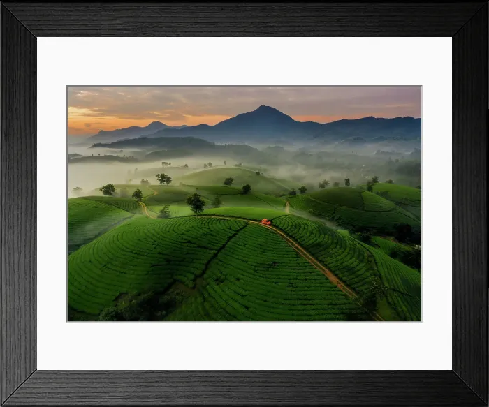 Framed Print : Aerial of red car on road through Long Coc Tea Hill, Vietnam, Indochina, Southeast Asia, Asia Framed Print : Aerial of red car on road through Long Coc Tea Hill, Vietnam, Indochina, Southeast Asia, Asia