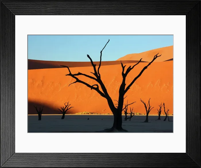 Framed Print : Dead Vlei, Sossusvlei, Namibia, Africa Framed Print : Dead Vlei, Sossusvlei, Namibia, Africa