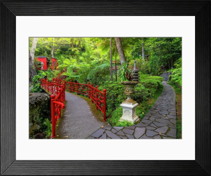 Framed Print : Monte Palace Tropical Garden, Funchal, Madeira, Portugal, Atlantic, Europe Framed Print : Monte Palace Tropical Garden, Funchal, Madeira, Portugal, Atlantic, Europe