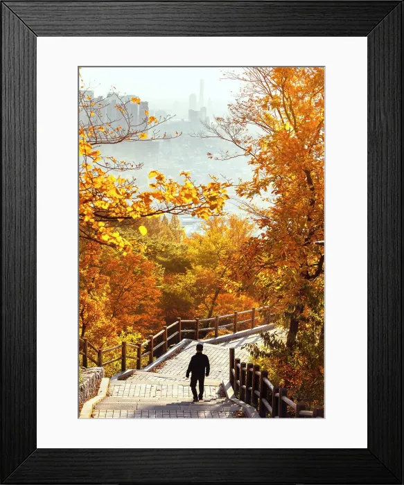 Framed Print : A tourist gazes at Seoul's skyline from Namsan Mountain, Seoul, South Korea, Asia Framed Print : A tourist gazes at Seoul's skyline from Namsan Mountain, Seoul, South Korea, Asia