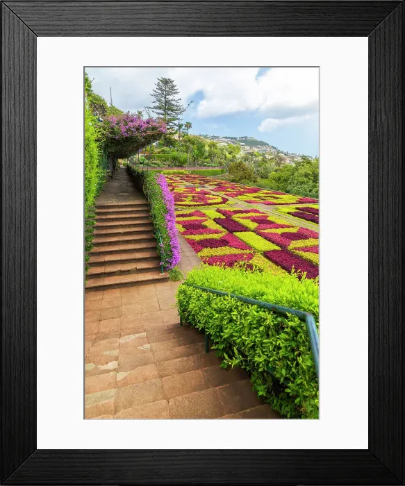Framed Print : Madeira Botanical Garden, Funchal, Madeira, Portugal, Atlantic, Europe Framed Print : Madeira Botanical Garden, Funchal, Madeira, Portugal, Atlantic, Europe