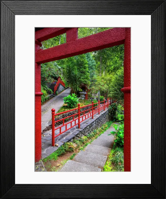 Framed Print : Monte Palace Tropical Garden, Funchal, Madeira, Portugal, Atlantic, Europe Framed Print : Monte Palace Tropical Garden, Funchal, Madeira, Portugal, Atlantic, Europe