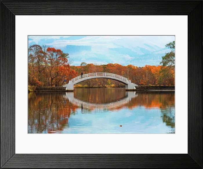 Framed Print : Beautiful white bowed bridge reflecting in a clear lake with red autumn colours surrounding, Lake Onuma, Hokkaido, Japan, Asia Framed Print : Beautiful white bowed bridge reflecting in a clear lake with red autumn colours surrounding, Lake Onuma, Hokkaido, Japan, Asia