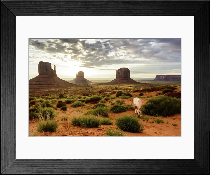 Framed Print : White horse grazing in the red sand of Monument Valley in front of the classical sunrise view, Monument Valley, Arizona, United States of America, North America Framed Print : White horse grazing in the red sand of Monument Valley in front of the classical sunrise view, Monument Valley, Arizona, United States of America, North America