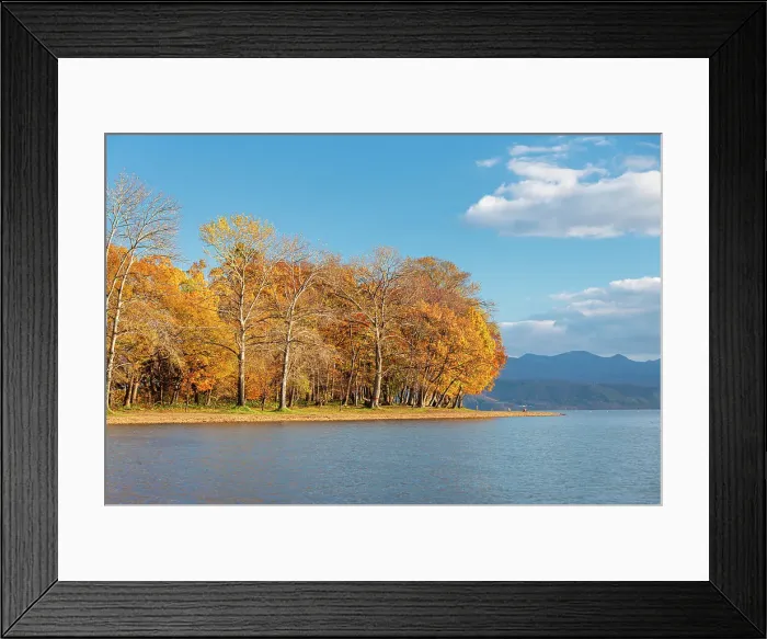 Framed Print : Vibrant autumn colors on Lake Toya, volcanic lake with trees on a sandy shore, Abuta, Hokkaido, Japan, Asia Framed Print : Vibrant autumn colors on Lake Toya, volcanic lake with trees on a sandy shore, Abuta, Hokkaido, Japan, Asia