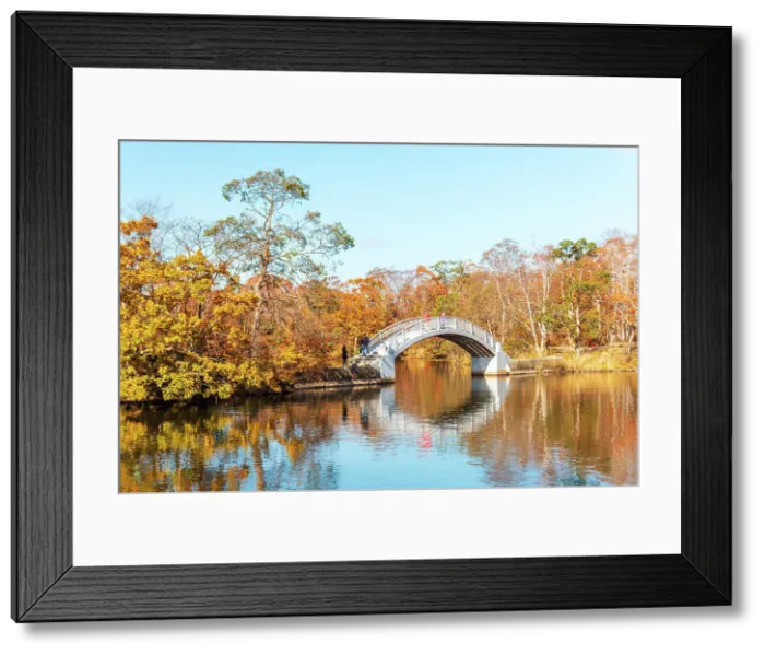 Framed Print : Beautiful Hakamagoshi Bridge on Lake Onuma on a vibrant autumn day, Hokkaido, Japan, Asia Framed Print : Beautiful Hakamagoshi Bridge on Lake Onuma on a vibrant autumn day, Hokkaido, Japan, Asia