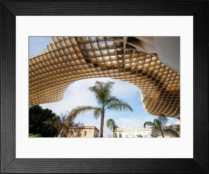 Framed Print : Beautiful modern architecture of the Setas de Sevilla parasol with a palm tree, Seville, Andalusia, Spain, Europe Framed Print : Beautiful modern architecture of the Setas de Sevilla parasol with a palm tree, Seville, Andalusia, Spain, Europe