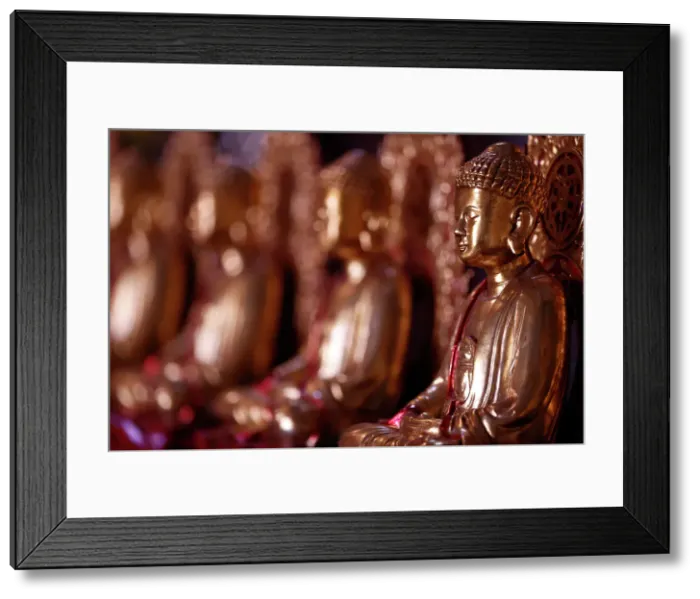 Framed Print : Wooden statue of Siddhartha Gautama (the Buddha), Van Hanh Zen Buddhist Monastery, Dalat, Vietnam, Indochina, Southeast Asia, Asia Framed Print : Wooden statue of Siddhartha Gautama (the Buddha), Van Hanh Zen Buddhist Monastery, Dalat, Vietnam, Indochina, Southeast Asia, Asia