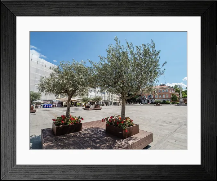 Framed Print : Piazza Vittoria, Friuli Venezia Giulia, Italy, Europe Framed Print : Piazza Vittoria, Friuli Venezia Giulia, Italy, Europe