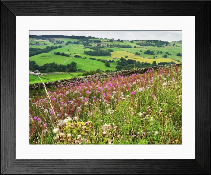 Framed Print : The Worth Valley near Haworth, Yorkshire, England, United Kingdom, Europe Framed Print : The Worth Valley near Haworth, Yorkshire, England, United Kingdom, Europe