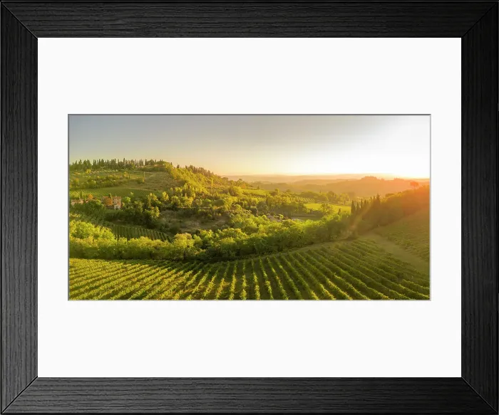 Framed Print : Elevated view of vineyards near San Gimignano at sunrise, San Gimignano, Tuscany, Italy, Europe Framed Print : Elevated view of vineyards near San Gimignano at sunrise, San Gimignano, Tuscany, Italy, Europe