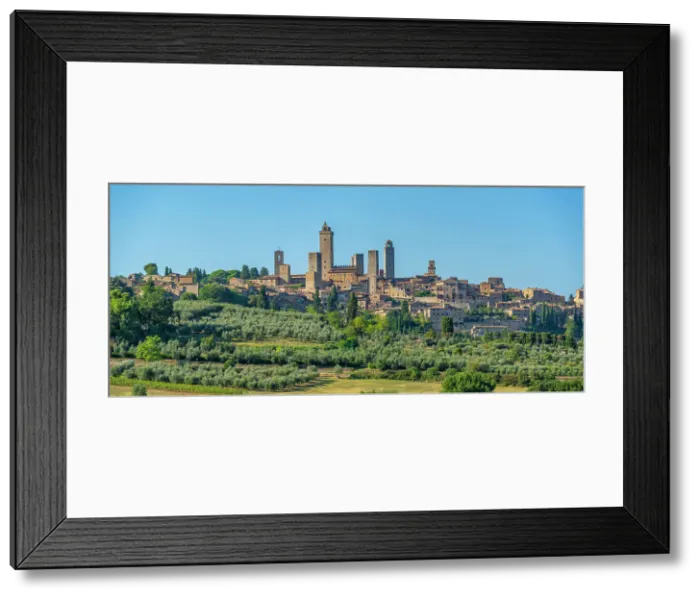 Framed Print : View of olive trees and landscape around San Gimignano, San Gimignano, Province of Siena, Tuscany, Italy, Europe Framed Print : View of olive trees and landscape around San Gimignano, San Gimignano, Province of Siena, Tuscany, Italy, Europe