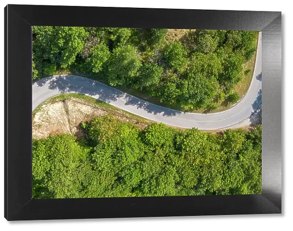 Elevated view of road snaking through trees near Borello, Emilia Romagna, Italy, Europe