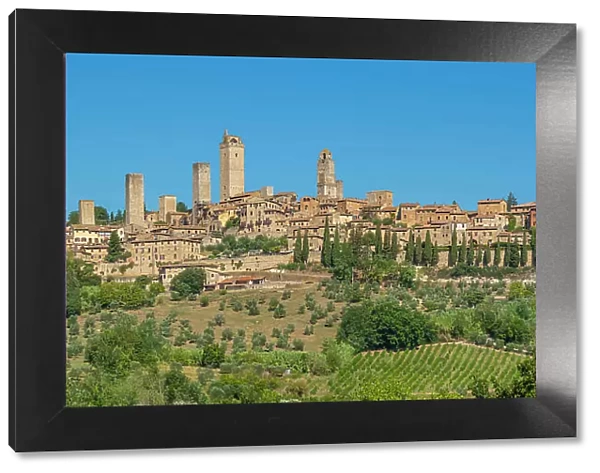 View of vineyards and San Gimignano, San Gimignano, Province of Siena, Tuscany, Italy, Europe