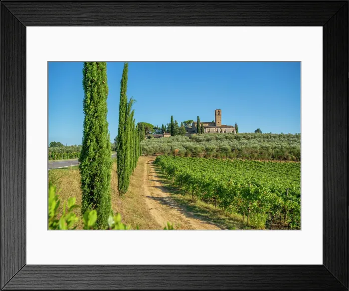 Framed Print : View of Convento di Monte Oliveto Minore and vinyard, San Gimignano, Province of Siena, Tuscany, Italy, Europe Framed Print : View of Convento di Monte Oliveto Minore and vinyard, San Gimignano, Province of Siena, Tuscany, Italy, Europe