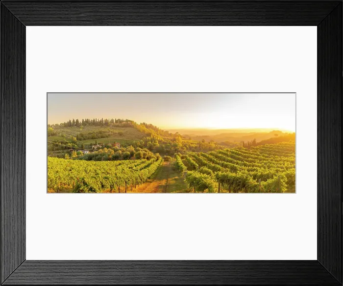 Framed Print : View of vineyards and landscape at sunrise near San Gimignano, San Gimignano, Province of Siena, Tuscany, Italy, Europe Framed Print : View of vineyards and landscape at sunrise near San Gimignano, San Gimignano, Province of Siena, Tuscany, Italy, Europe