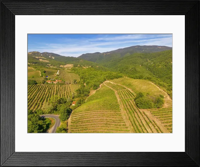Framed Print : Elevated view of vineyards near Borello, Emilia Romagna, Italy, Europe Framed Print : Elevated view of vineyards near Borello, Emilia Romagna, Italy, Europe