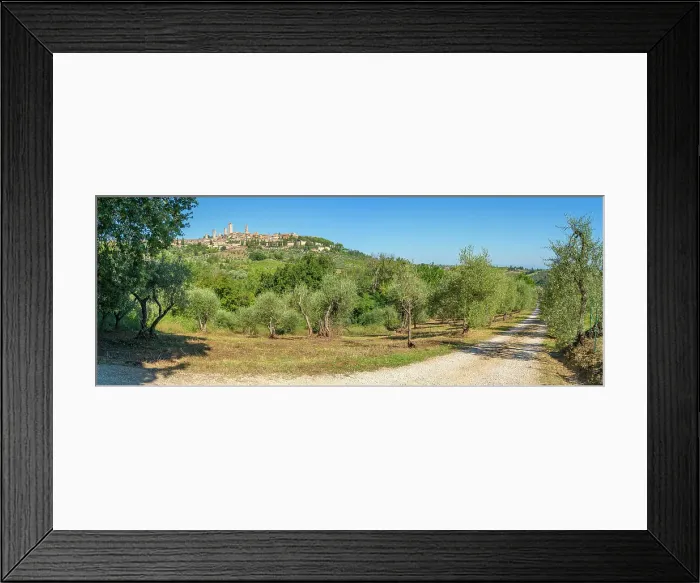 Framed Print : View of olive groves and San Gimignano, San Gimignano, Province of Siena, Tuscany, Italy, Europe Framed Print : View of olive groves and San Gimignano, San Gimignano, Province of Siena, Tuscany, Italy, Europe