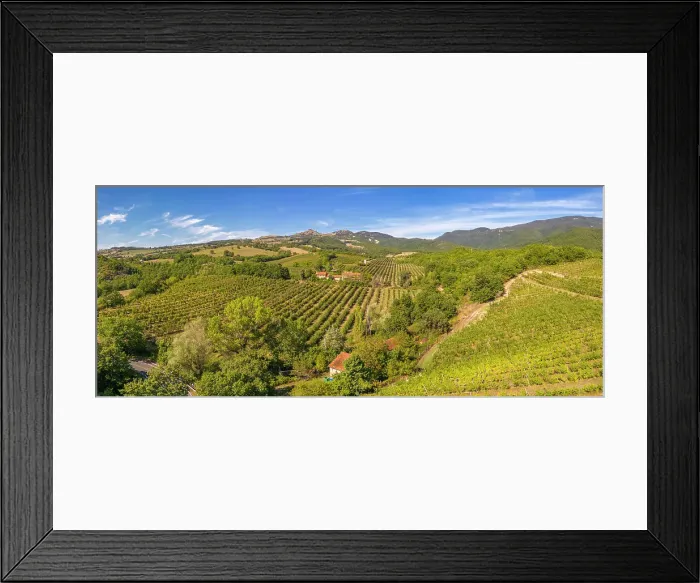 Framed Print : Elevated view of vineyards near Borello, Emilia Romagna, Italy, Europe Framed Print : Elevated view of vineyards near Borello, Emilia Romagna, Italy, Europe