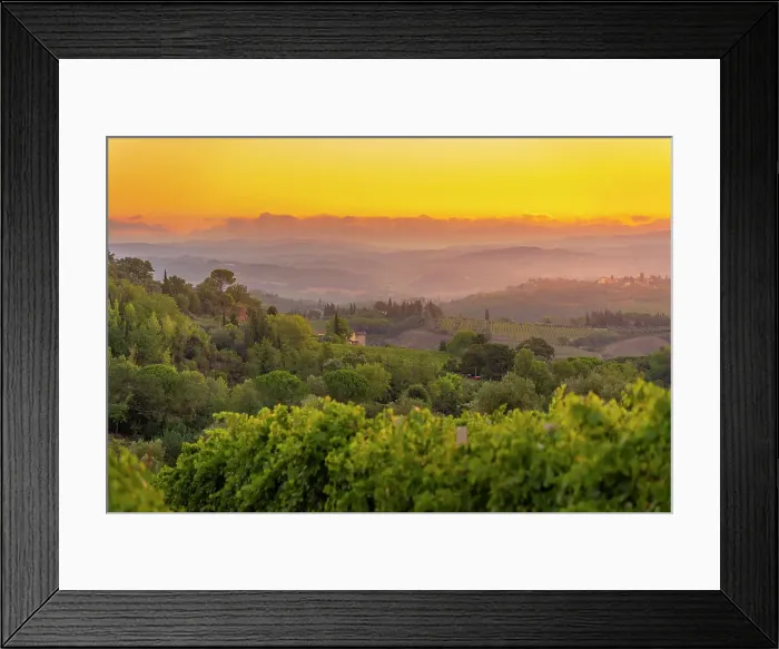Framed Print : View of vineyards and landscape at sunrise near San Gimignano, San Gimignano, Province of Siena, Tuscany, Italy, Europe Framed Print : View of vineyards and landscape at sunrise near San Gimignano, San Gimignano, Province of Siena, Tuscany, Italy, Europe