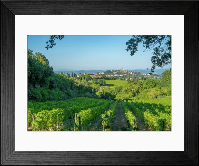 Framed Print : View of vineyards and San Gimignano in background, San Gimignano, Province of Siena, Tuscany, Italy, Europe Framed Print : View of vineyards and San Gimignano in background, San Gimignano, Province of Siena, Tuscany, Italy, Europe
