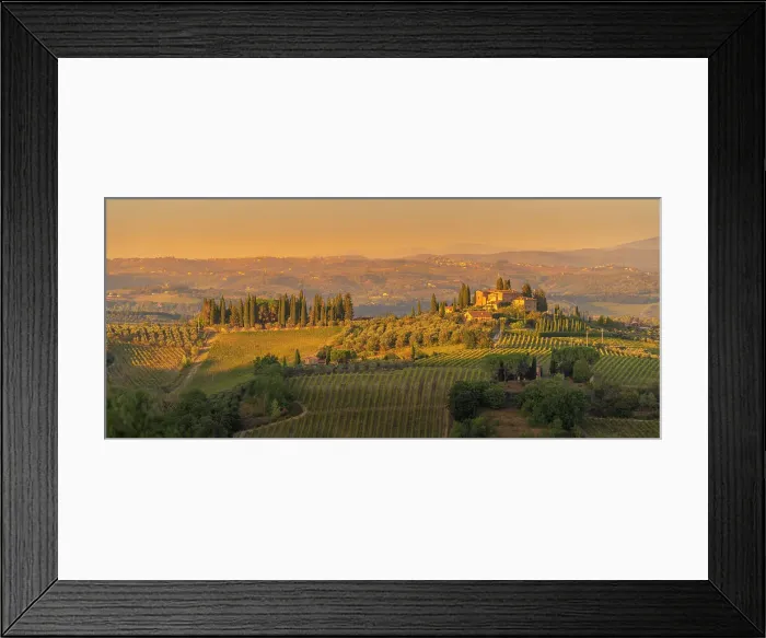 Framed Print : View of vineyards and landscape near San Gimignano at sunset, San Gimignano, Province of Siena, Tuscany, Italy, Europe