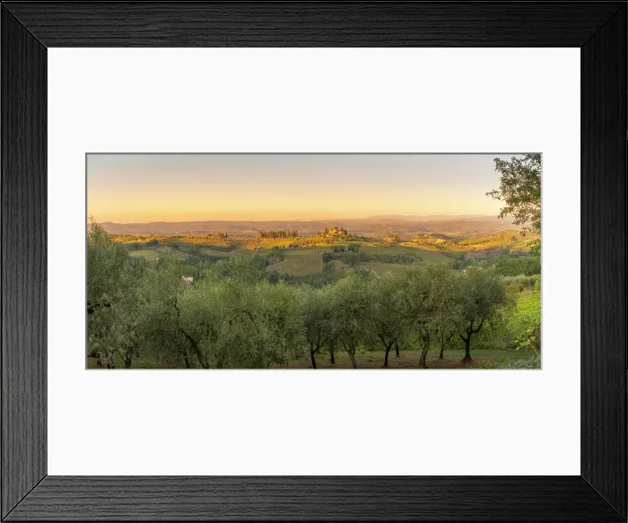 Framed Print : View of olive trees, vineyards and landscape near San Gimignano at sunset, San Gimignano, Province of Siena, Tuscany, Italy, Europe Framed Print : View of olive trees, vineyards and landscape near San Gimignano at sunset, San Gimignano, Province of Siena, Tuscany, Italy, Europe