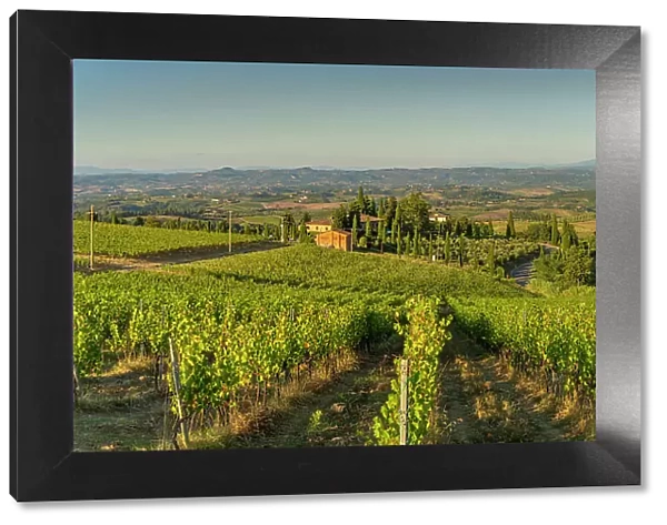 View of chaleau and vineyards near San Gimignano, San Gimignano, Province of Siena, Tuscany, Italy, Europe