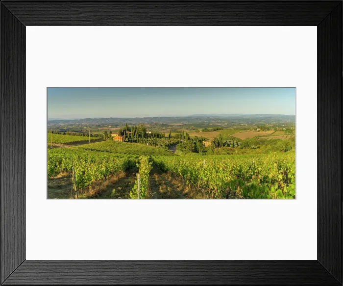Framed Print : View of chaleau and vineyards near San Gimignano, San Gimignano, Province of Siena, Tuscany, Italy, Europe Framed Print : View of chaleau and vineyards near San Gimignano, San Gimignano, Province of Siena, Tuscany, Italy, Europe