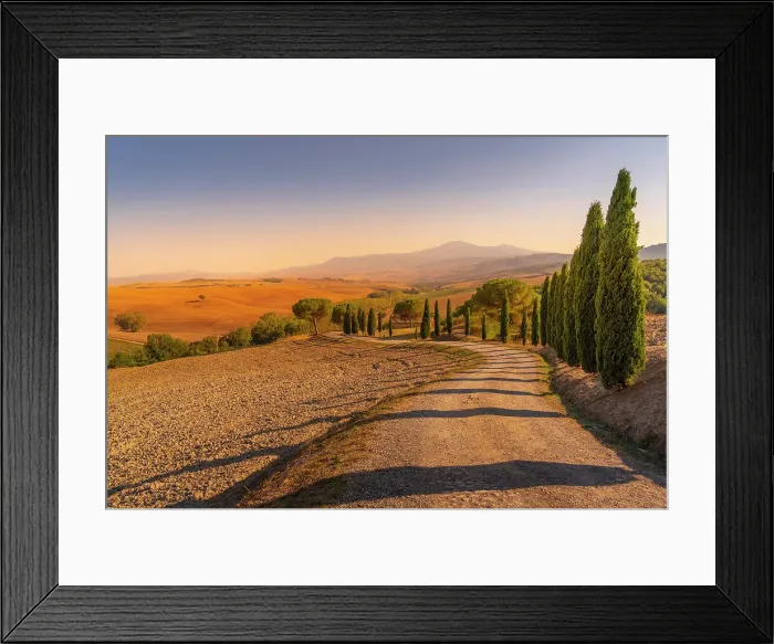 Framed Print : View of cypress trees and landscape in the Val d Orcia near San Quirico d'Orcia, UNESCO World Heritage Site, province of Siena, Tuscany, Italy, Europe Framed Print : View of cypress trees and landscape in the Val d Orcia near San Quirico d'Orcia, UNESCO World Heritage Site, province of Siena, Tuscany, Italy, Europe
