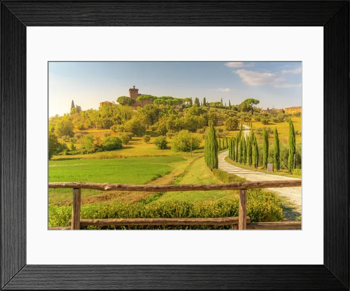 Framed Print : View of winding road and cypress trees leading to Palazzo Massaini, near Pienza, Tuscany, Italy, Europe Framed Print : View of winding road and cypress trees leading to Palazzo Massaini, near Pienza, Tuscany, Italy, Europe