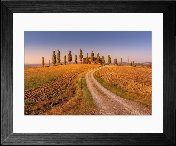 Framed Print : View of cypress trees in landscape near Pienza, Val d'Orcia, UNESCO World Heritage Site, Province of Siena, Tuscany, Italy, Europe Framed Print : View of cypress trees in landscape near Pienza, Val d'Orcia, UNESCO World Heritage Site, Province of Siena, Tuscany, Italy, Europe