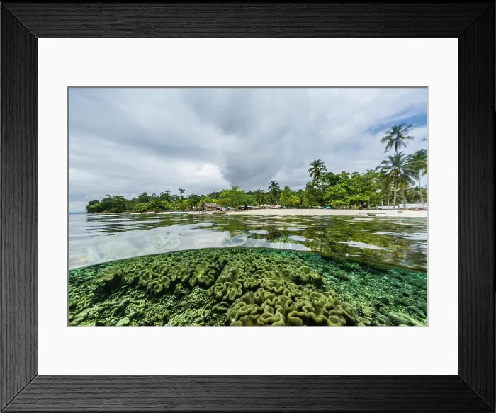 Framed Print : Above and below view of Sauwaderek Village Reef, Raja Ampat, Indonesia, Southeast Asia, Asia Framed Print : Above and below view of Sauwaderek Village Reef, Raja Ampat, Indonesia, Southeast Asia, Asia
