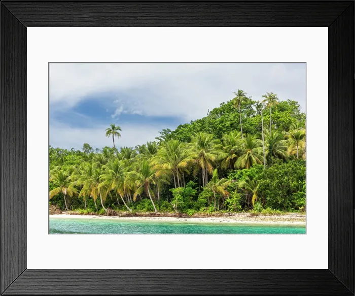 Framed Print : White sandy beaches and coconut trees on Batu Hatrim, Raja Ampat, Indonesia, Southeast Asia, Asia Framed Print : White sandy beaches and coconut trees on Batu Hatrim, Raja Ampat, Indonesia, Southeast Asia, Asia