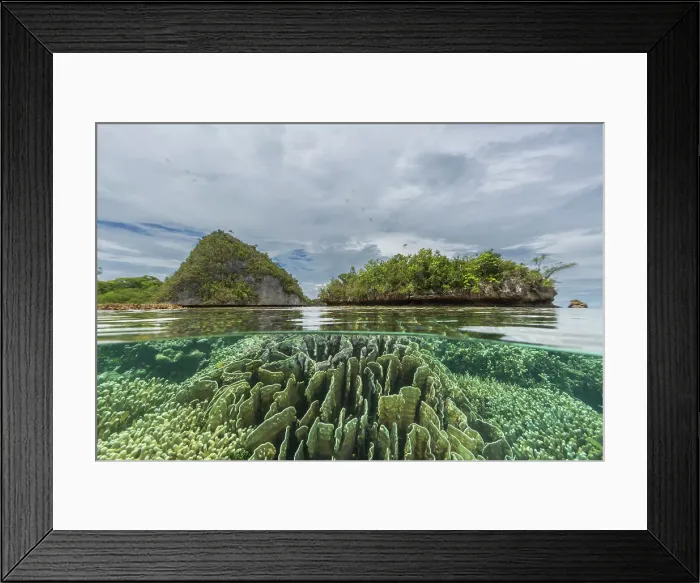 Framed Print : Above and below photo in the crystal clear water in the shallow reefs off Wayag Bay, Raja Ampat, Indonesia, Southeast Asia, Asia Framed Print : Above and below photo in the crystal clear water in the shallow reefs off Wayag Bay, Raja Ampat, Indonesia, Southeast Asia, Asia