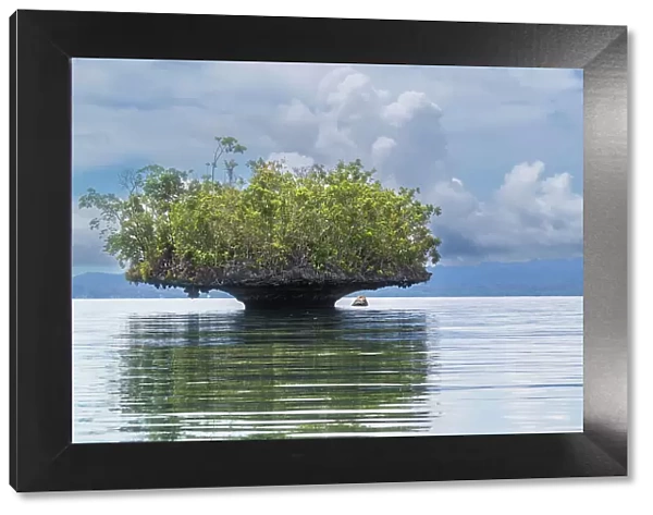 A view of limestone islets covered in vegetation, Gam Island, Raja Ampat, Indonesia, Southeast Asia, Asia