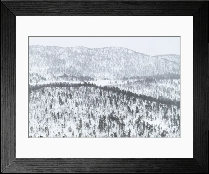 Framed Print : Snow covered hills and mountains covered in pine forest, Anderdalen National Park, Senja, Troms og Finnmark, Norway, Scandinavia, Europe Framed Print : Snow covered hills and mountains covered in pine forest, Anderdalen National Park, Senja, Troms og Finnmark, Norway, Scandinavia, Europe