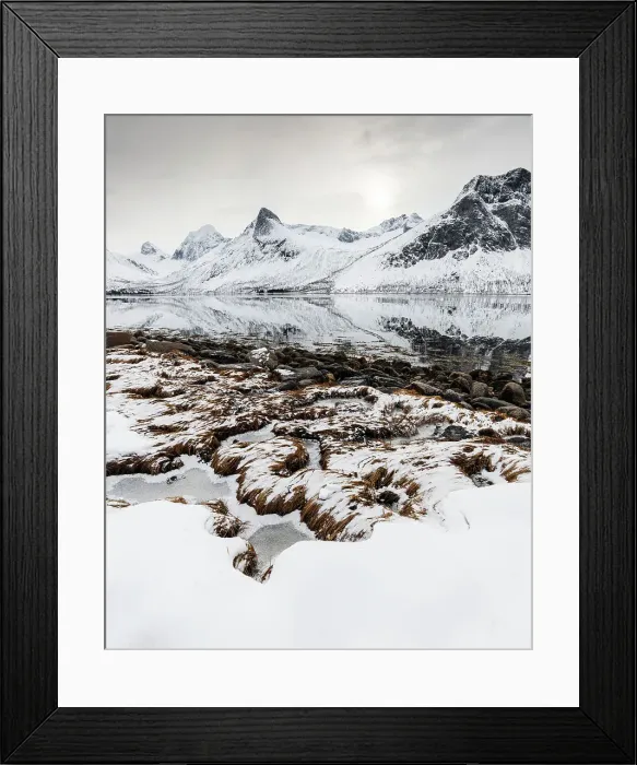 Framed Print : Foreshore and mountains, Senja, Troms og Finnmark, Norway, Scandinavia, Europe Framed Print : Foreshore and mountains, Senja, Troms og Finnmark, Norway, Scandinavia, Europe