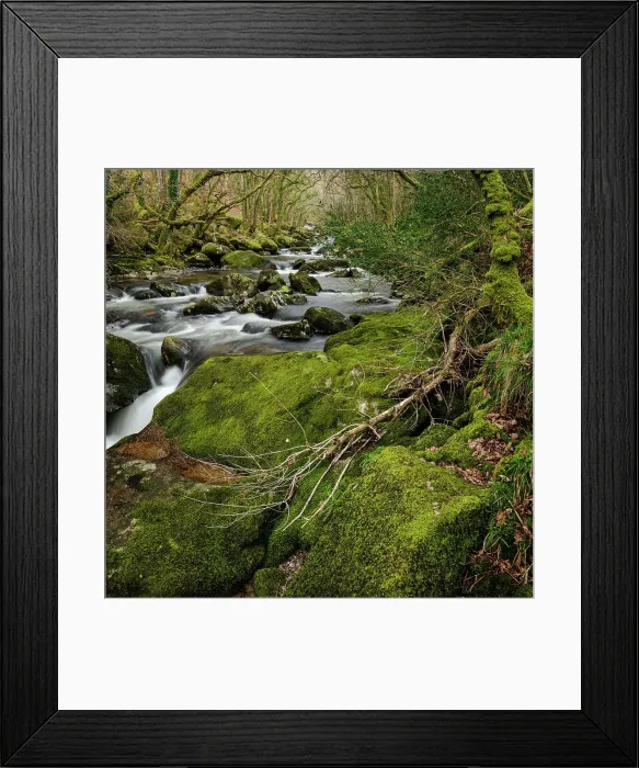 Framed Print : Moss-covered boulders and trees along the River Plym, Dewerstone, Dartmoor National Park, Devon, England, United Kingdom, Europe Framed Print : Moss-covered boulders and trees along the River Plym, Dewerstone, Dartmoor National Park, Devon, England, United Kingdom, Europe